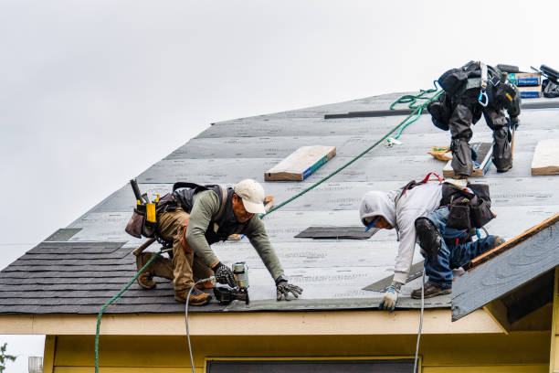 Professional Gutter Installation technician working in Beasley, TX